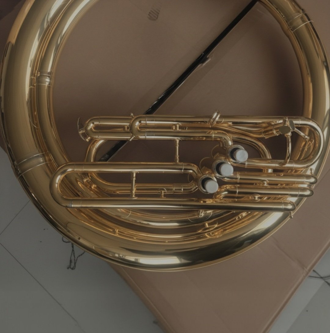 TDLA-669 Pro BBb Sousaphone - Image 6
