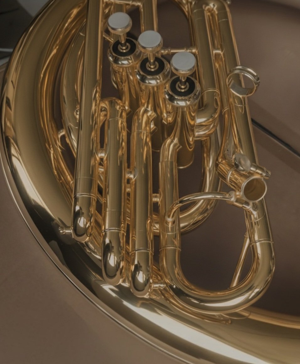 TDLA-669 Pro BBb Sousaphone - Image 4
