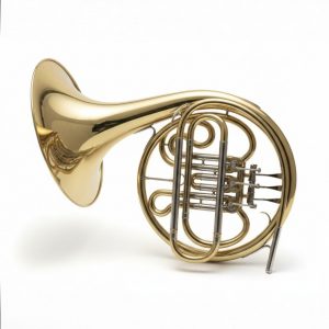 OUi-TDLA Bb French Horn/Corno Frances